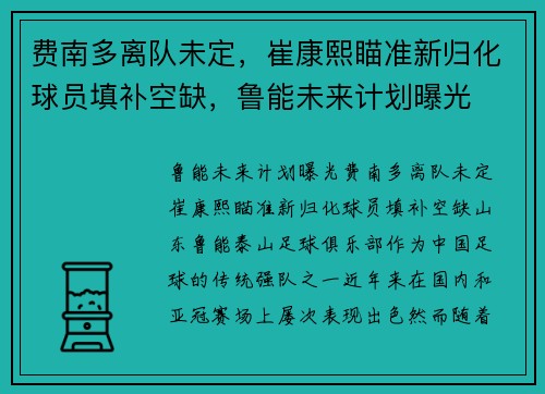 费南多离队未定，崔康熙瞄准新归化球员填补空缺，鲁能未来计划曝光