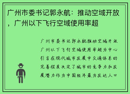 广州市委书记郭永航：推动空域开放，广州以下飞行空域使用率超