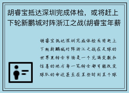 胡睿宝抵达深圳完成体检，或将赶上下轮新鹏城对阵浙江之战(胡睿宝年薪2700万)