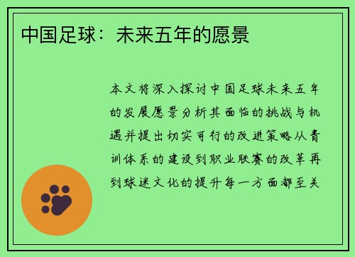 中国足球：未来五年的愿景