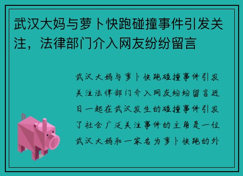 武汉大妈与萝卜快跑碰撞事件引发关注,法律部门介入网友纷纷留言