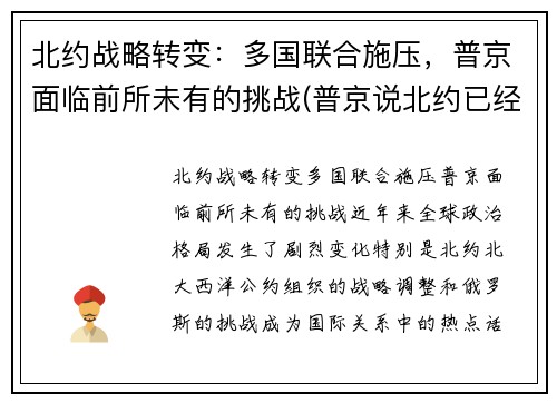 北约战略转变:多国联合施压,普京面临前所未有的挑战(普京说北约已经没有存在的必要了)
